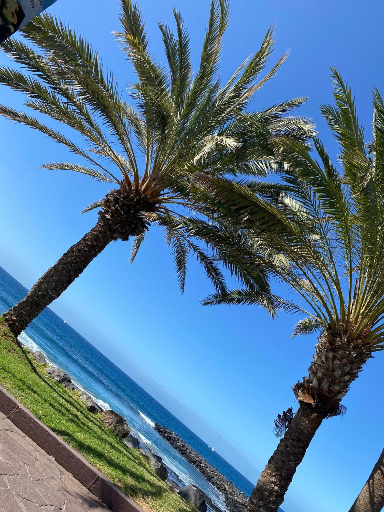 Coconut Apartament In Garden City Playa Fanabe Exterior foto